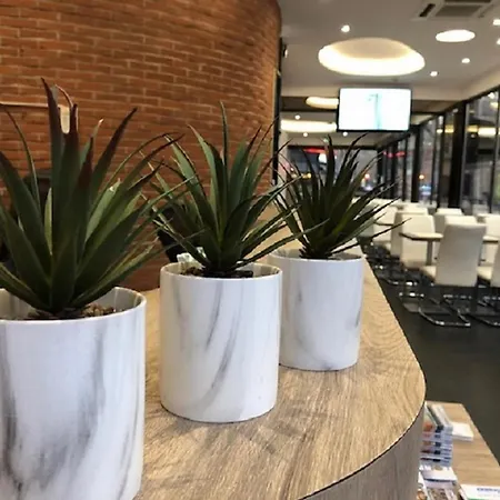 维克多雨果酒店 酒店 圖盧茲