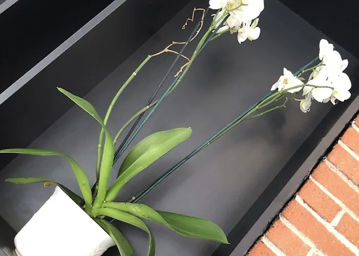 ヴィクトル ユーゴー 2*